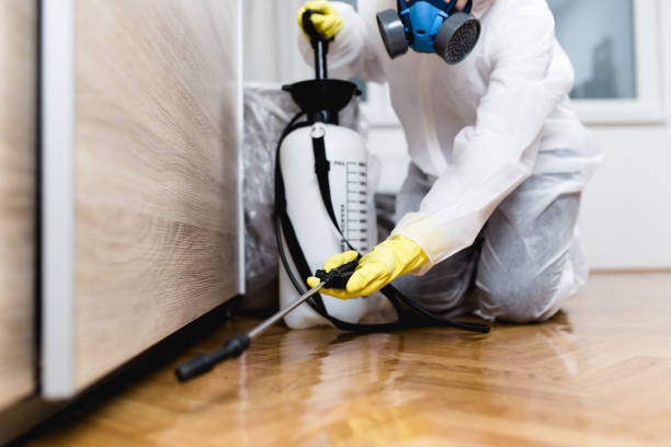 Best Residential Pest Control  in Richmond Hill, GA