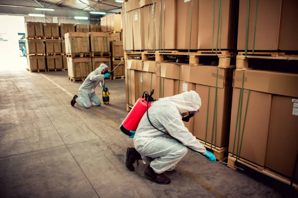 Best Flea Control Services  in Richmond Hill, GA