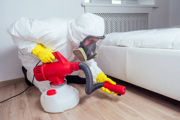 Pest Control Cost in Richmond Hill, GA